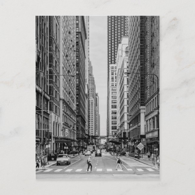 Chicago Madison Street Grayscale Postcard Postkarte (Vorderseite)