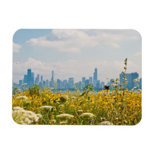 Chicago, wie vom Vogel Montrose Hafens gesehen Magnet