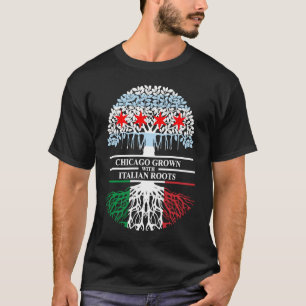 Chicagoer Grown Italian Roots Chicago Flag Italien T-Shirt