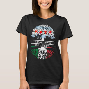 Chicagoer Grown Italian Roots Chicago Flag Italien T-Shirt