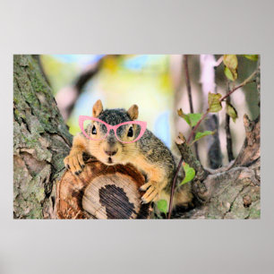 Chichhörnchen Poster