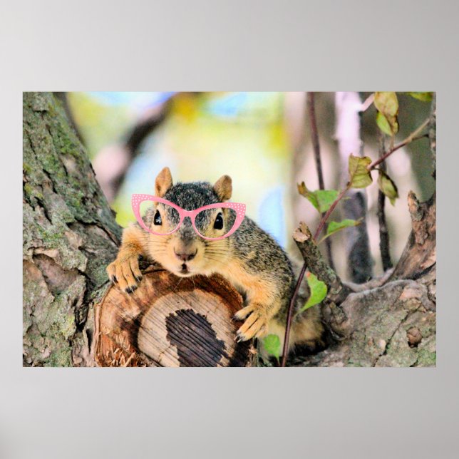 Chichhörnchen Poster (Vorne)