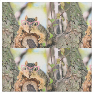 Chichhörnchen Stoff