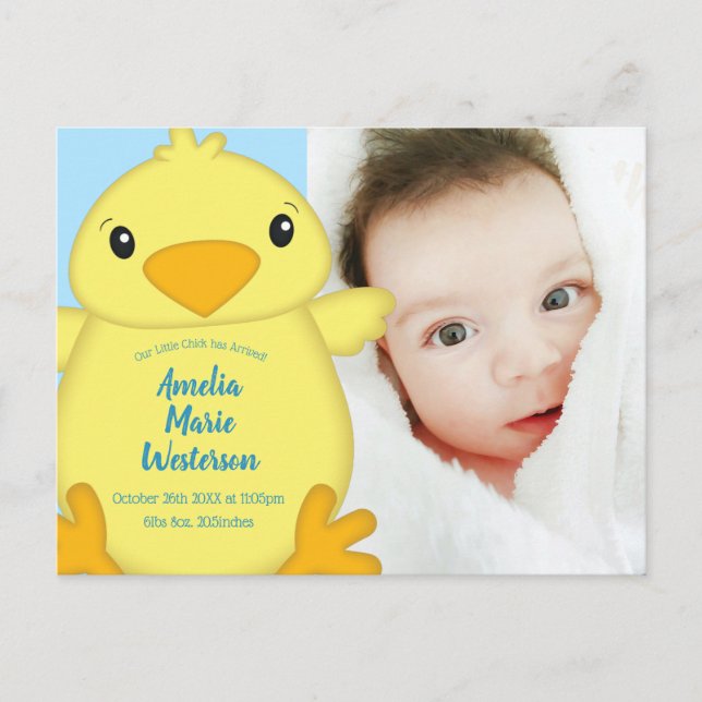 Chick Baby Shower Blue Postkarte (Vorderseite)