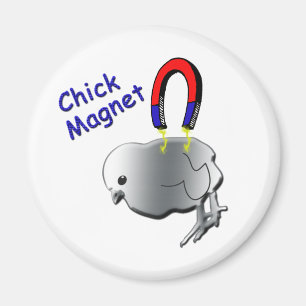 Chick Magnet