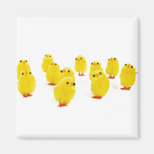 Chick-Magnet Chillout mit meinen Piepen lustiges F Magnet