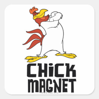 Chick Magnet Quadratischer Aufkleber