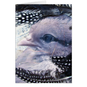 Chick Mixed Media Collage