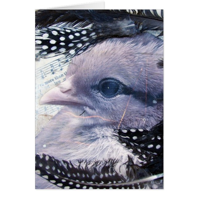 Chick Mixed Media Collage (Vorne)