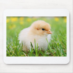 Chick Mousepad