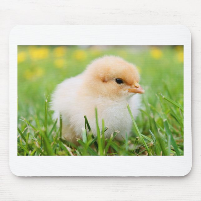 Chick Mousepad (Vorne)