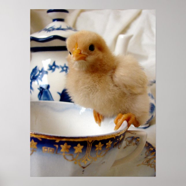 Chick Tea Poster (Vorne)