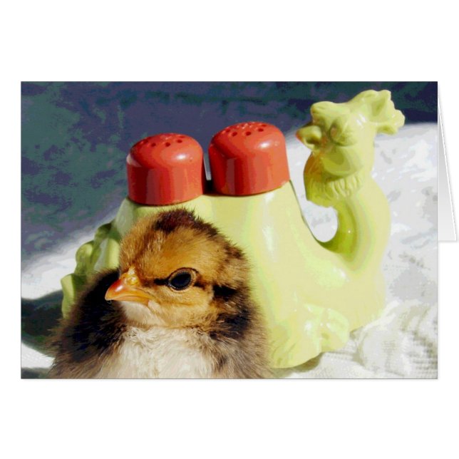 Chick und Camel (Vorderseite (Horizontal))