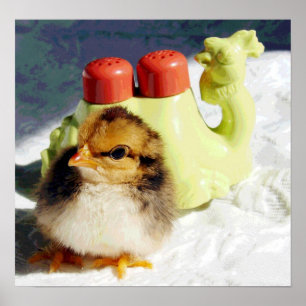 Chick und Camel Poster