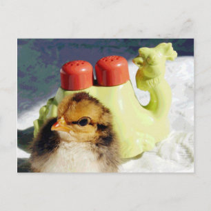 Chick und Camel Postkarte
