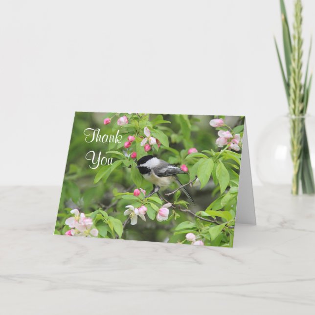 Chickadee and spring blossoms dankeskarte (Vorderseite)