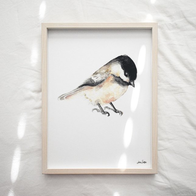 Chickadee Art Print Poster (Chickadee Art Print from Jenn's Emporium. )