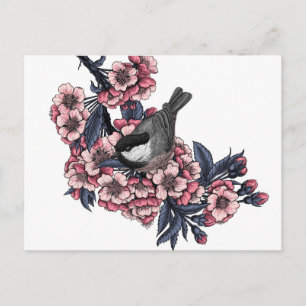 Chickadee auf einem blühenden Kirschzweig Postkarte