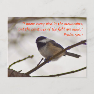 Chickadee auf einer Twig Postkarte
