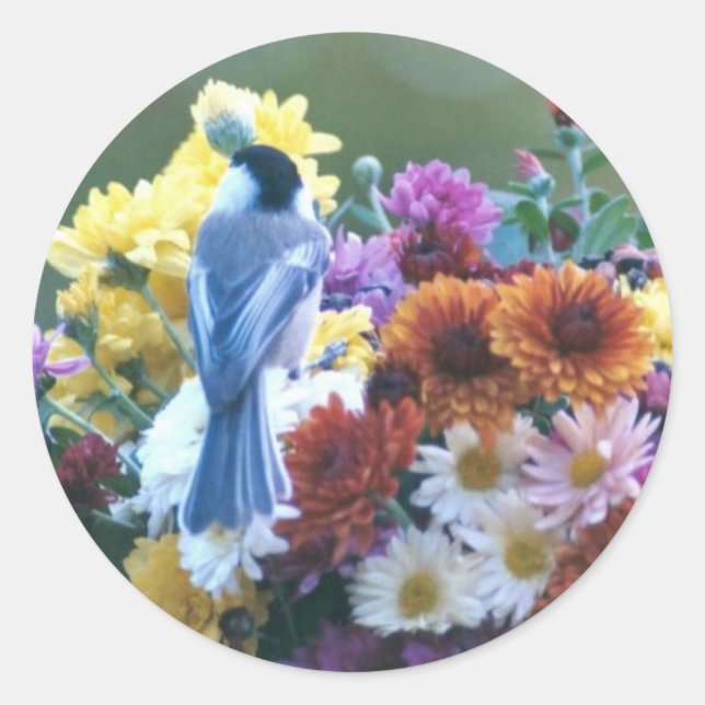CHICKADEE AUF MUTTEN RUNDER AUFKLEBER (Vorderseite)