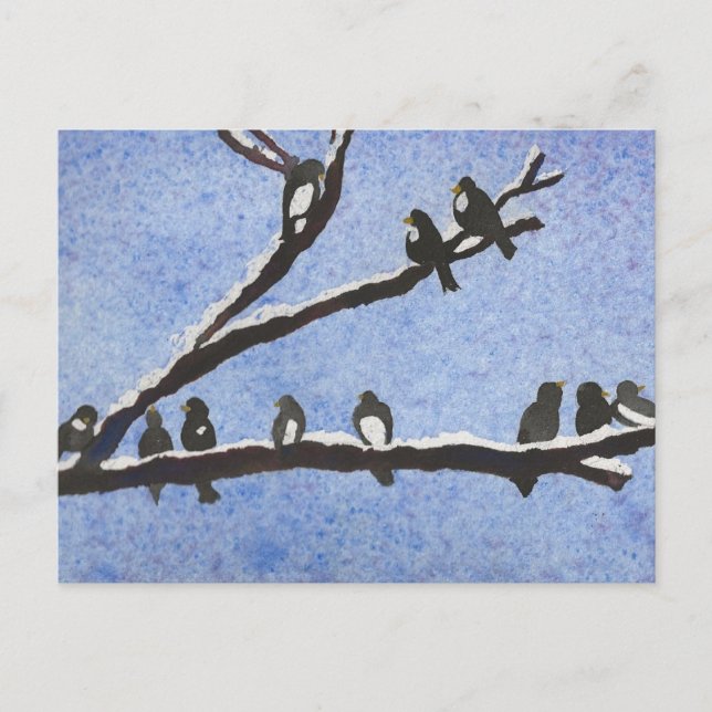 Chickadee auf verschneiten Zweigen Postkarte (Vorderseite)