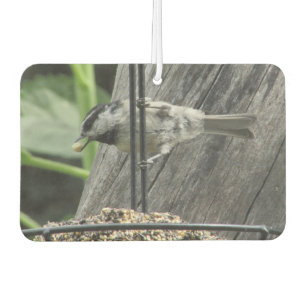 Chickadee auf Vogelfutter Autolufterfrischer