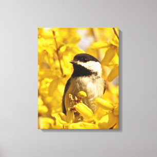 Chickadee Bird in Forsythia Blume Canvas Print Leinwanddruck