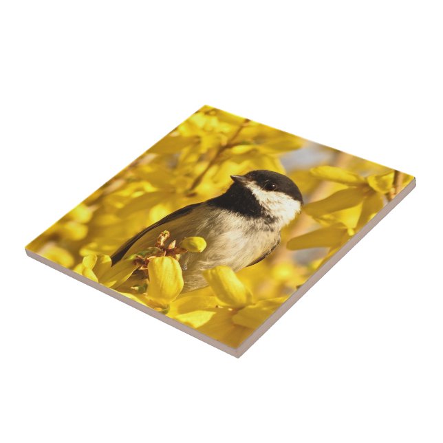 Chickadee Bird in Gelbblüten Keramik Tile Fliese (Seite)