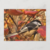 Chickadee Bird in rosa und roten Herbstblättern