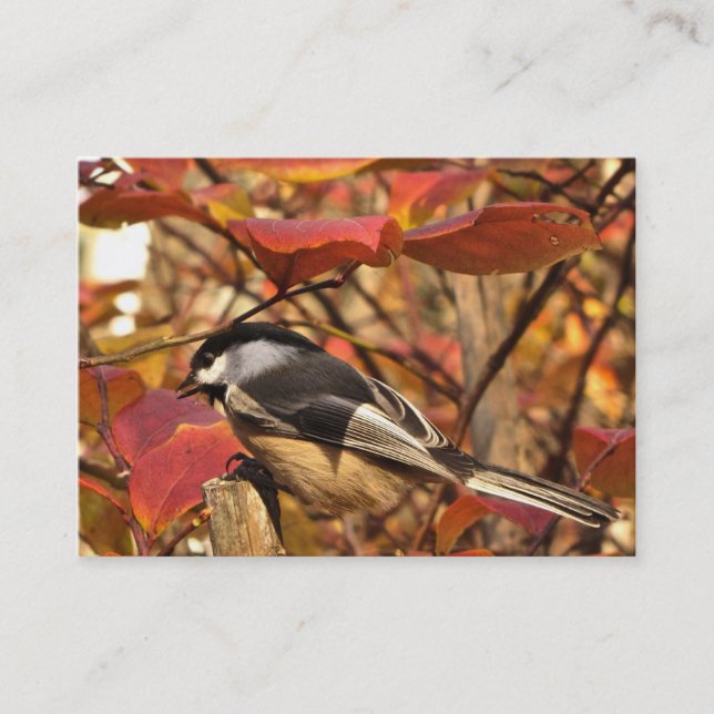 Chickadee Bird mit rosa Herbstblättern ATC Visitenkarte (Vorderseite)