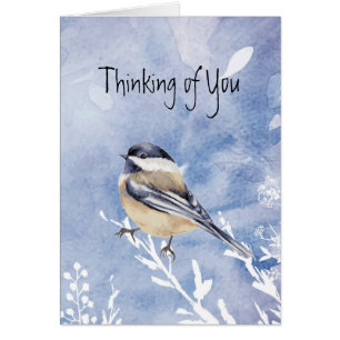 Chickadee Bird Winter Erste Weihnachtsfeier allein