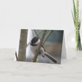 Chickadee Birthday Card Karte