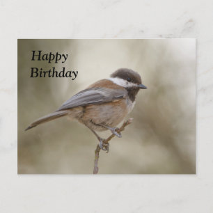 Chickadee Birthday Card Postkarte