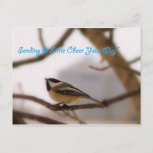 Chickadee Cheer Postkarte
