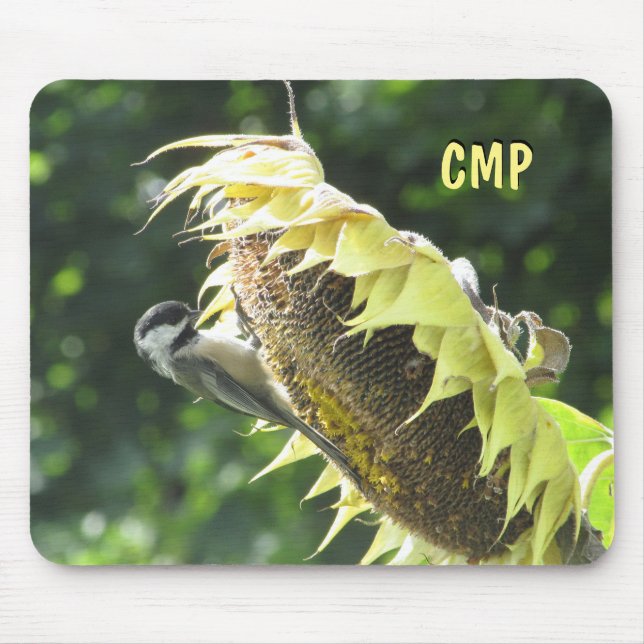 Chickadee, die Sonnenblumenkerne essen Mousepad (Vorne)