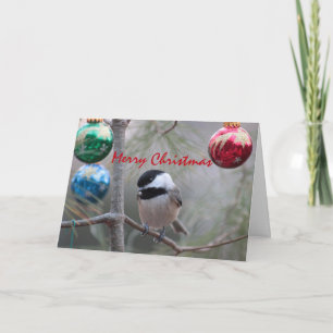 Chickadee Feiertagskarte