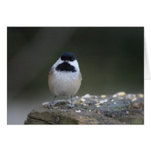 Chickadee Grußkarte