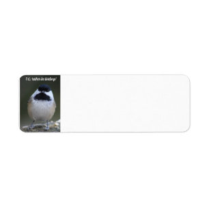 Chickadee Ich würde eher Vogelbeobachtung-Adresset