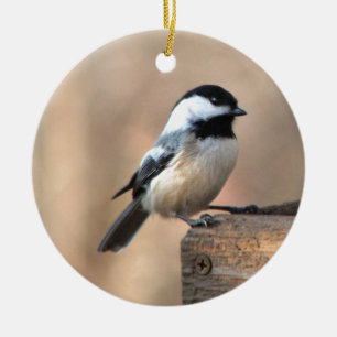 Chickadee im goldenen Licht Keramik Ornament