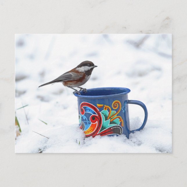Chickadee im Schnee Postkarte (Vorderseite)