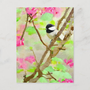 Chickadee in Cherry Tree Postkarte