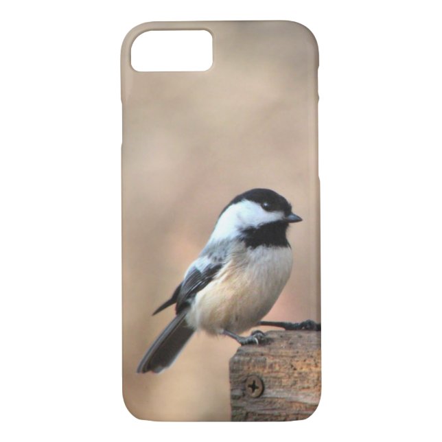 Chickadee in einem goldenen hellen iPhone 7 Kasten Case-Mate iPhone Hülle (Rückseite)