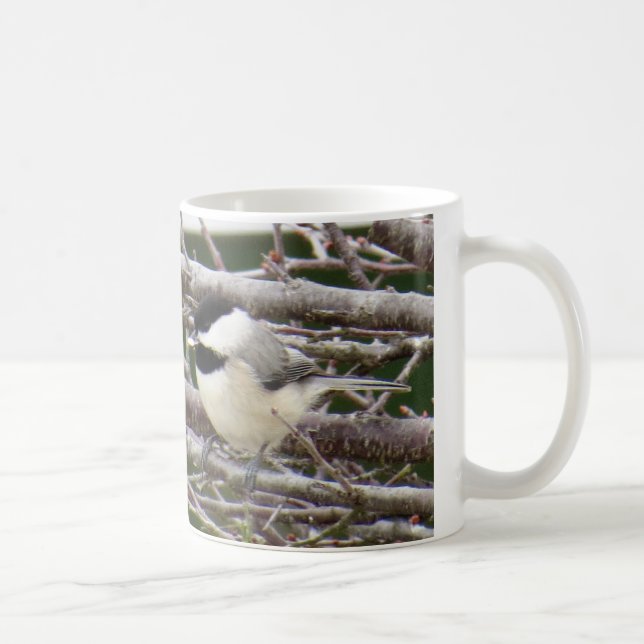 Chickadee-Kaffee-Tasse Tasse (Rechts)