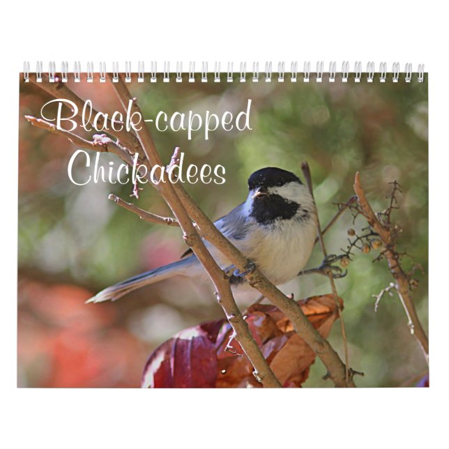 Chickadee Kalender (Titelbild)
