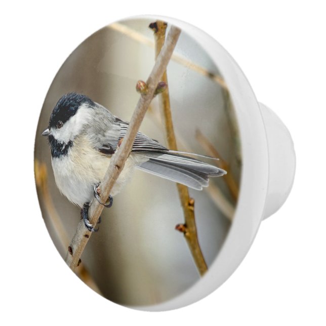 Chickadee-Keramik Keramikknauf (Rechts)