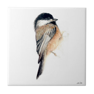 Chickadee Keramik Tile Fliese