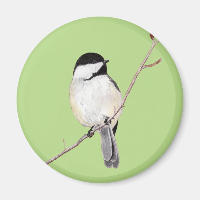 Chickadee Magnet (Vorne)