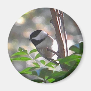 Chickadee-Magnet Magnet