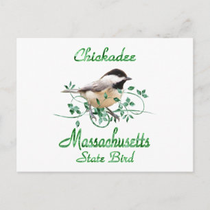 Chickadee Massachusetts Staat Bird Postkarte