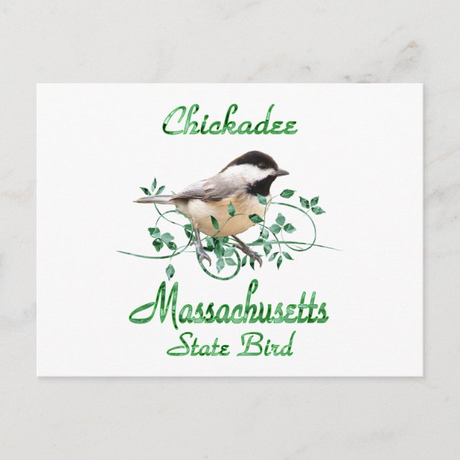 Chickadee Massachusetts Staat Bird Postkarte (Vorderseite)